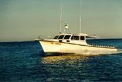 Fin Finder Charters